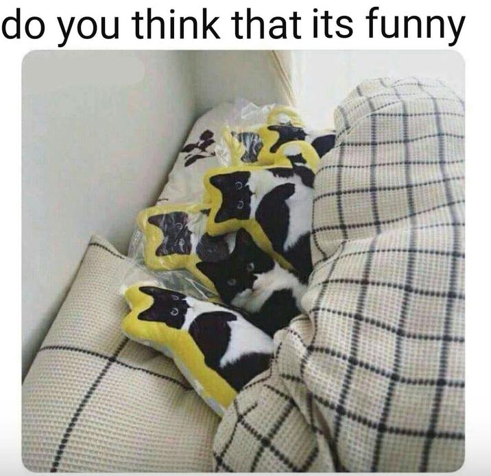 do you think that its funny