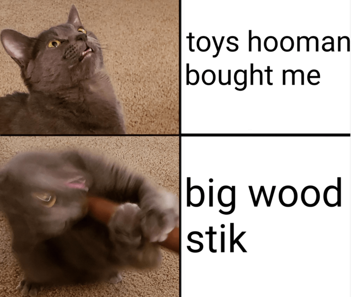 toys hooman bought me big wood stik