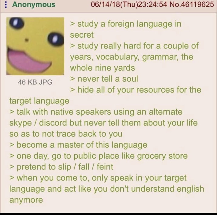 Anonymous 46 KB JPG target language 06/14/18(Thu)23:24:54 No.46119625 > study a foreign language in secret > study really hard for a couple of years, vocabulary, grammar, the whole nine yards > never tell a soul > hide all of your resources for the > talk with native speakers using an alternate skype/discord but never tell them about your life so as to not trace back to you > become a master of this language > one day, go to public place like grocery store > pretend to slip / fall / feint > when you come to, only speak in your target language and act like you don't understand english anymore