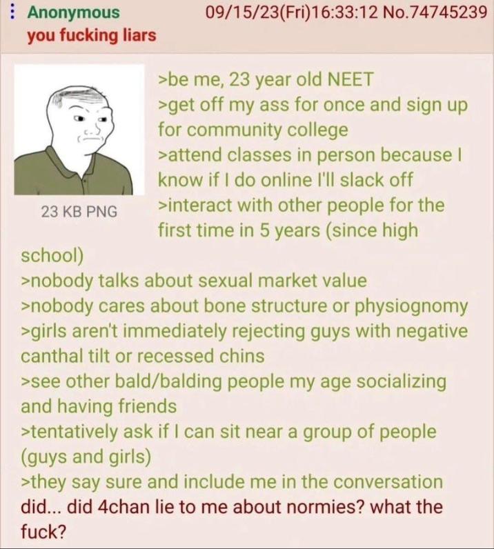 Anonymous you f------ liars 23 KB PNG school) 09/15/23(Fri)16:33:12 No.74745239 >be me, 23 year old NEET >get off my ass for once and sign up for community college >attend classes in person because I know if I do online I'll slack off >interact with other people for the first time in 5 years (since high >nobody talks about sexual market value >nobody cares about bone structure or physiognomy >girls aren't immediately rejecting guys with negative canthal tilt or recessed chins >see other bald/balding people my age socializing and having friends >tentatively ask if I can sit near a group of people (guys and girls) >they say sure and include me in the conversation did... did 4chan lie to me about normies? what the f---?