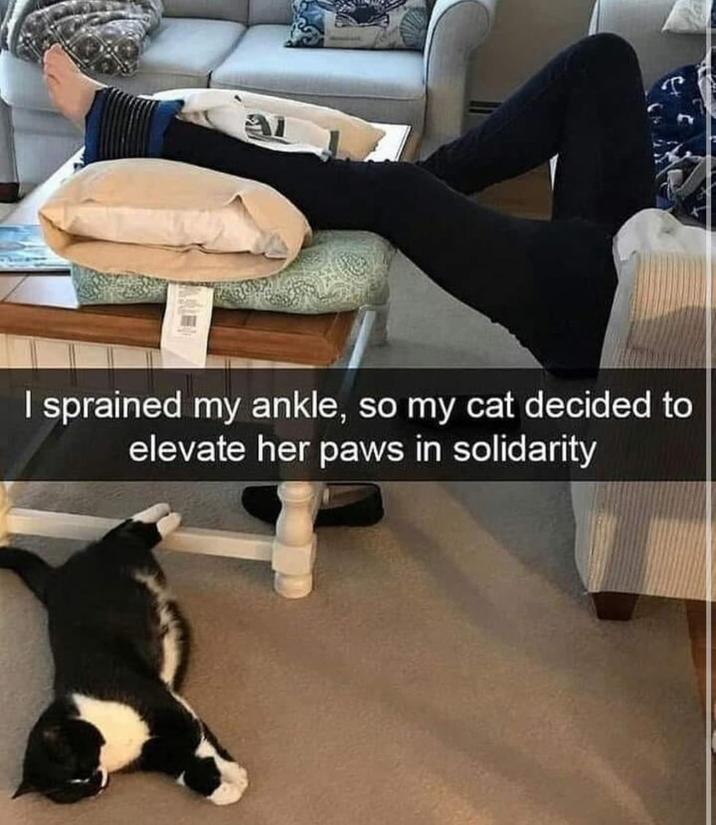 I sprained my ankle, so my cat decided to elevate her paws in solidarity