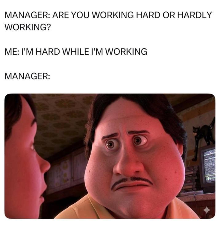 MANAGER: ARE YOU WORKING HARD OR HARDLY WORKING? ME: I'M HARD WHILE I'M WORKING MANAGER:
