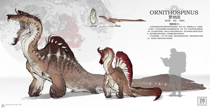 PLEASE DO NOT USE 幼体与卵 10cm LESTOIDEA ORNITHOSPINUS 罗纳鸲 新鸟纲 鸲目 高脊科 物种简介: 生活在低纬度靠近海洋的草原沼泽地肉食性物种,体长3~8m,体重400kg~4t,主食触蝓 ,鱼与腐肉。它们特化的面部鳞片从新构成嘴里的牙齿,这些“牙齿”仍然分布在靠近脸颊的那 一侧。它们后足退化是祖征,因此它们大部分时间都呆在水中,偶尔回到陆地上晒太阳与捡垃圾 吃。雄性华丽的背羽是求偶特色,且会随着年龄增长而逐渐变大。 它们在雨季繁殖,一次产下20~45枚卵,刚刚出生的幼崽没有背羽,随着年龄的增长会逐渐 长出,由体型较小的雄性在泥滩上挖坑孵蛋。 20 2025 MAY