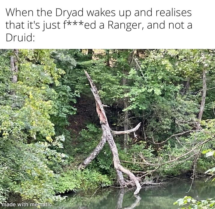 When the Dryad wakes up and realises that it's just f***ed a Ranger, and not a Druid: made with mematic