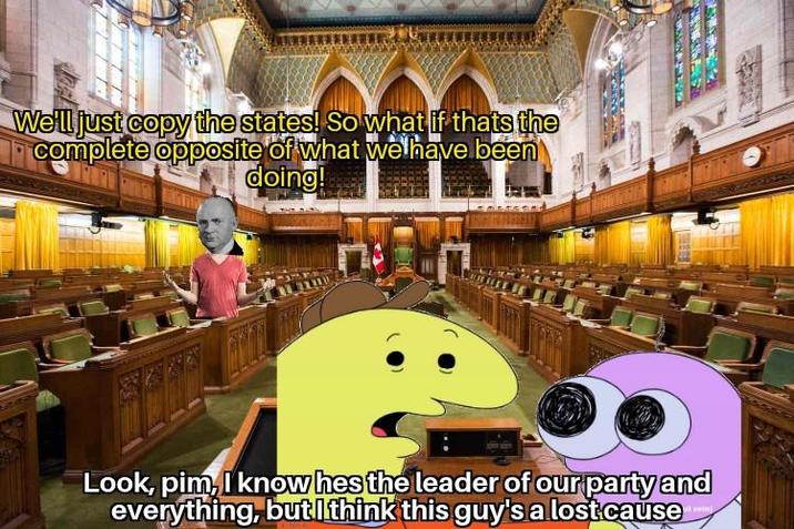 We'll just copy the states! So what if thats the complete opposite of what we have been doing! Look, pim, I know hes the leader of our party and everything, but I think this guy's a lost cause