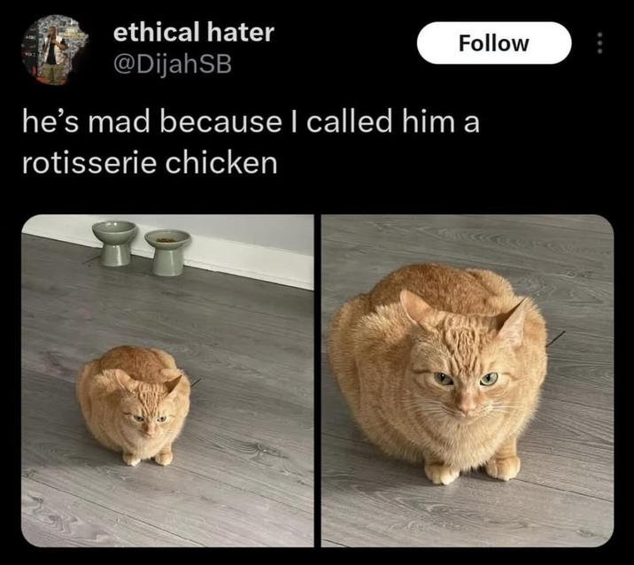 ethical hater @DijahSB Follow he's mad because I called him a rotisserie chicken