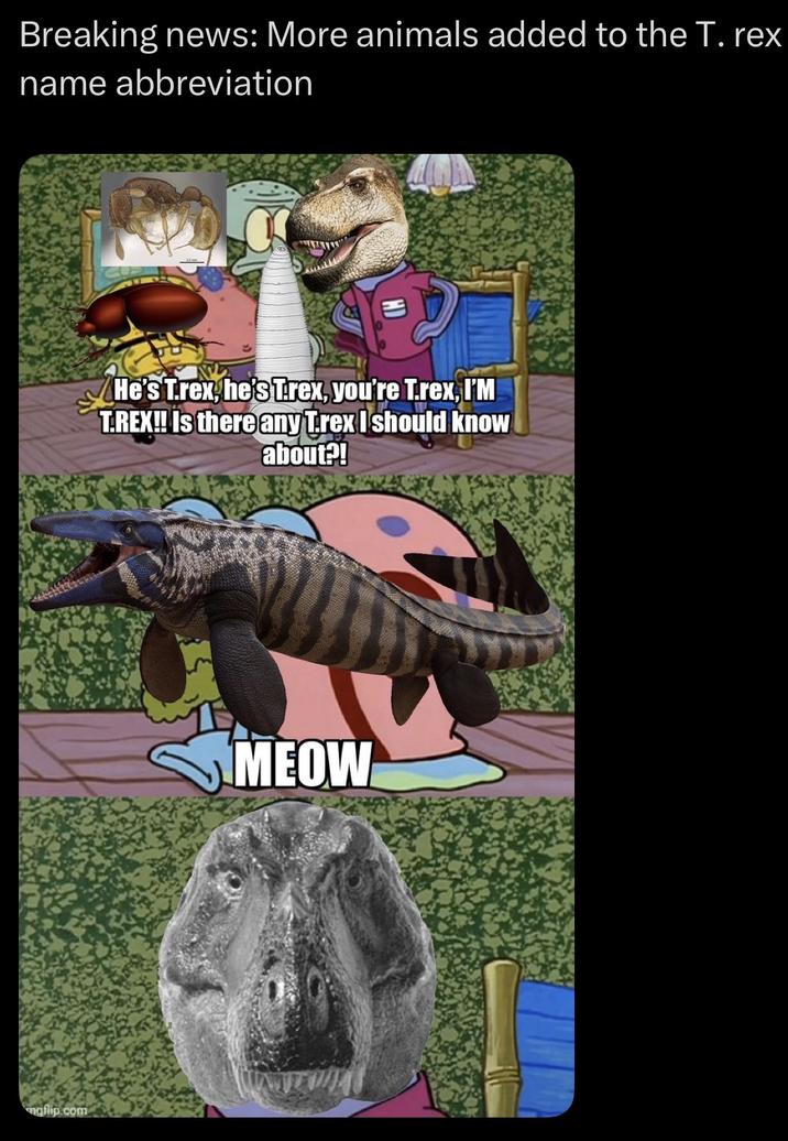 Breaking news: More animals added to the T. rex name abbreviation maflip.com CK He's Trex, he's Trex, you're T.rex, I'M T.REX!! Is there any Trex I should know about?! MEOW