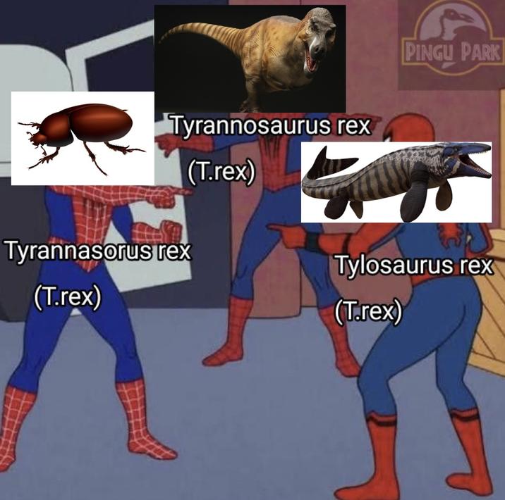 Tyrannosaurus rex Tyrannasorus rex (T.rex) (T.rex) PINGU PARK Tylosaurus rex (T.rex)