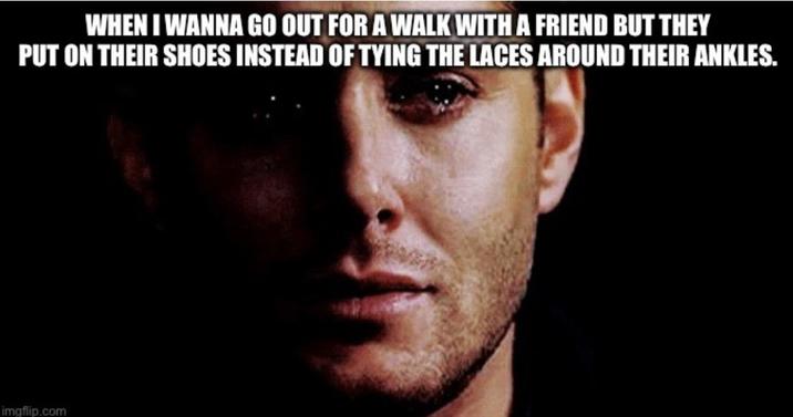 WHEN I WANNA GO OUT FOR A WALK WITH A FRIEND BUT THEY PUT ON THEIR SHOES INSTEAD OF TYING THE LACES AROUND THEIR ANKLES. imgflip.com