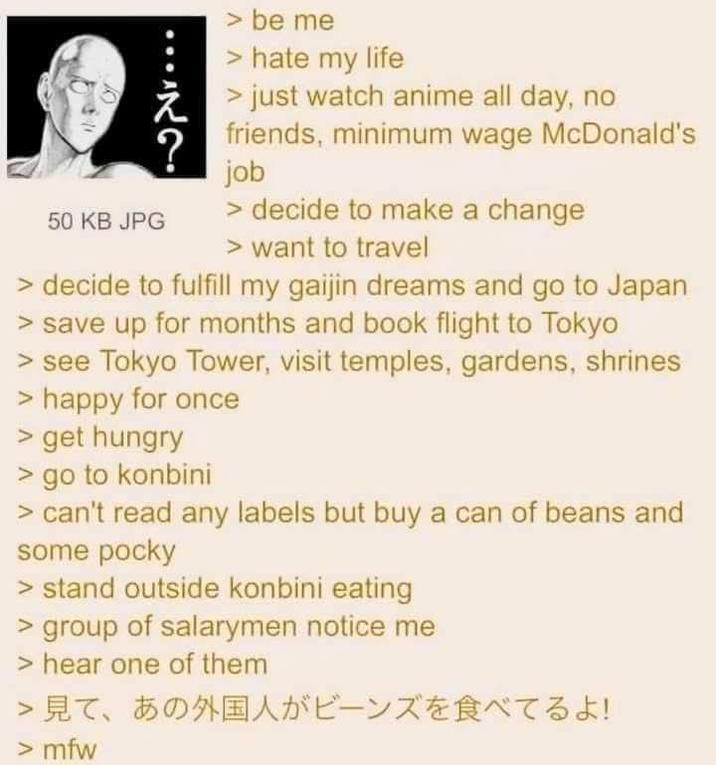 50 KB JPG ・え? > be me > hate my life > just watch anime all day, no friends, minimum wage McDonald's job > decide to make a change > want to travel > decide to fulfill my gaijin dreams and go to Japan > save up for months and book flight to Tokyo > see Tokyo Tower, visit temples, gardens, shrines > happy for once > get hungry > go to konbini > can't read any labels but buy a can of beans and some pocky > stand outside konbini eating > group of salarymen notice me > hear one of them 見て、あの外国人がビーンズを食べてるよ! >mfw