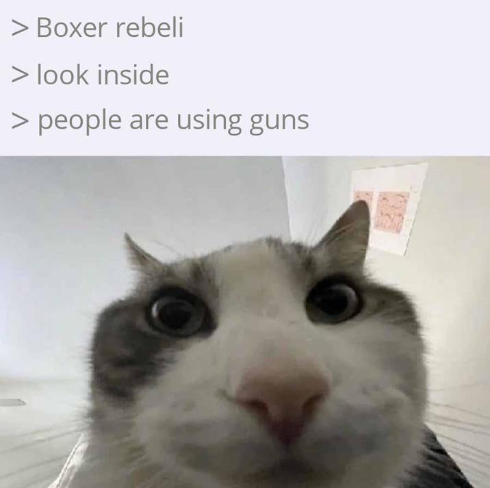 Boxer rebeli > look inside > people are using guns
