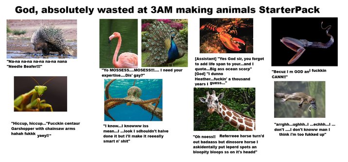 God, absolutely wasted at 3AM making animals StarterPack "Na-na na-na na-na na-na nana "Needle Beafer!!!" 2 "Yo MOSSESS....MOSESS!!!.... I need your expertise....Dis' gay?" [Assistant] "Yes God sir, you forgot to add life span to your...and I quote...Big ass ocean scorp" [God] "I dunno Heather...f-----' a thousand years I guess..." "Becuz I m GOD an fuckkin CANN!!" "Hiccup, hiccup..."Fucckin centaur Garshopper with chainsaw arms hahah fukkk yaey!!" "I know...I knowww iss mean...l...look I sdhouldn't halve done it but i'll make it reeeally smart n' s---" "Oh noess!! Referreee horse turn'd out badaass but dinosore horse I askidentally put leperd spots an bloopity bloops ss on it's headd" "arrghh...ughhh..I ...echhh...I ... don't ....I don't knoww man I think i'm too fukked up"