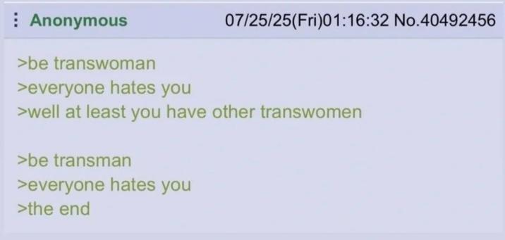 Anonymous >be transwoman >everyone hates you 07/25/25(Fri)01:16:32 No.40492456 >well at least you have other transwomen >be transman >everyone hates you >the end