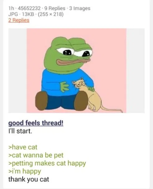 1h 45652232-9 Replies 3 Images JPG 13KB (255 × 218) 2 Replies E good feels thread! I'll start. >have cat >cat wanna be pet >petting makes cat happy >i'm happy thank you cat