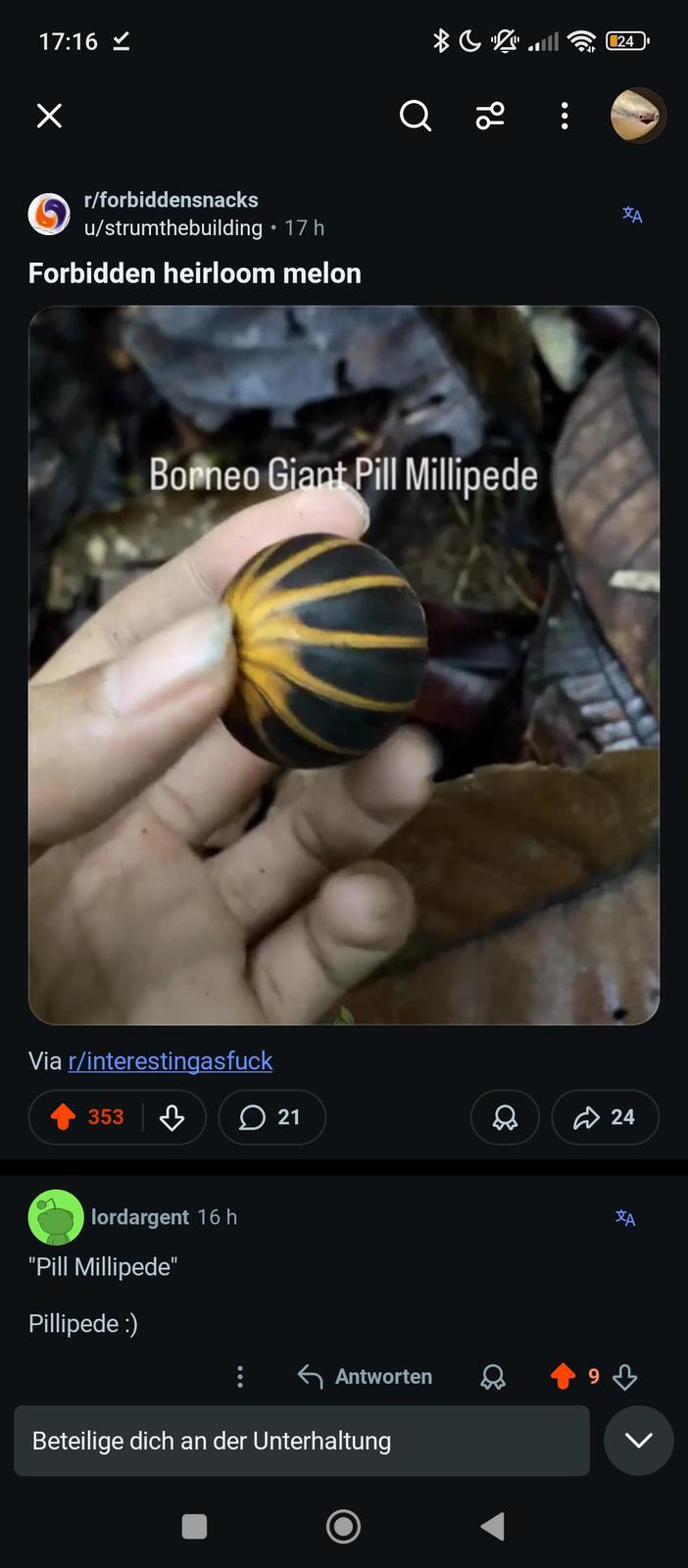 17:16 ✓ ✓ r/forbiddensnacks u/strumthebuilding ⚫ 17 h Forbidden heirloom melon Q 2 Borneo Giant Pill Millipede Via r/interestingasfuck 353 ་ ♡ lordargent 16 h "Pill Millipede" Pillipede :) 24 21 Q 24 Antworten 93 Beteilige dich an der Unterhaltung