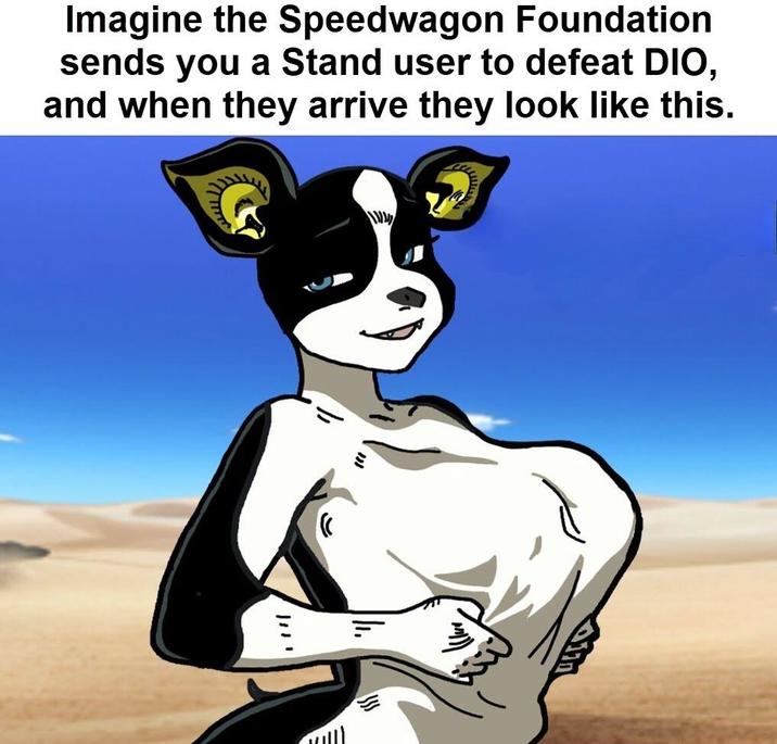 Imagine the Speedwagon Foundation sends you a Stand user to defeat DIO, and when they arrive they look like this. ה