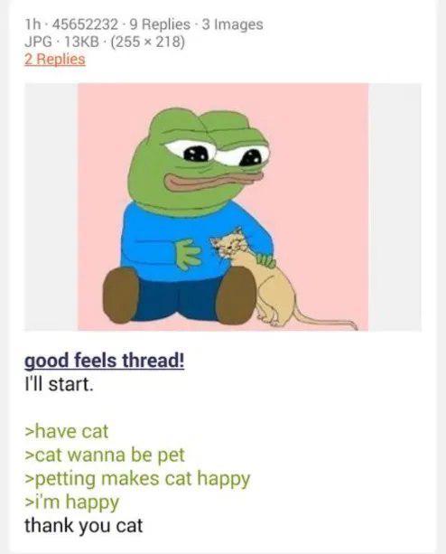 1h 45652232-9 Replies 3 Images JPG 13KB (255 × 218) 2 Replies E good feels thread! I'll start. >have cat >cat wanna be pet >petting makes cat happy >i'm happy thank you cat