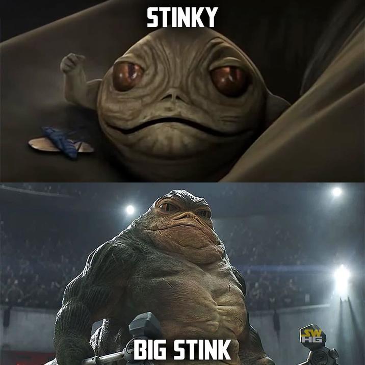 STINKY FY BIG STINK