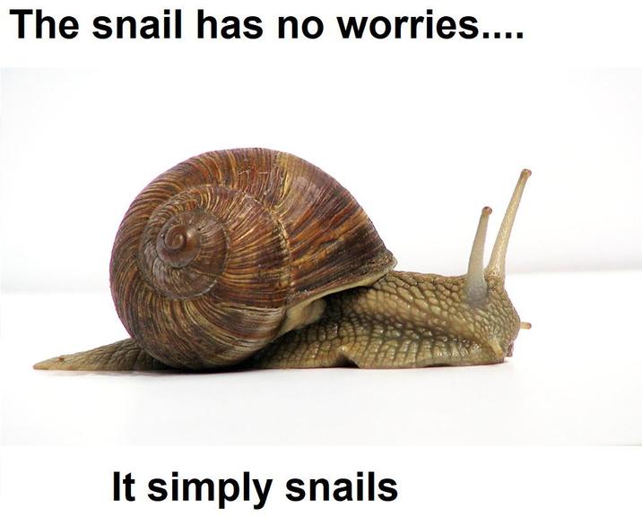 The snail has no worries.... It simply snails