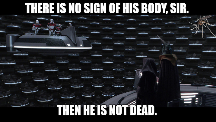 THERE IS NO SIGN OF HIS BODY, SIR. THEN HE IS NOT DEAD.