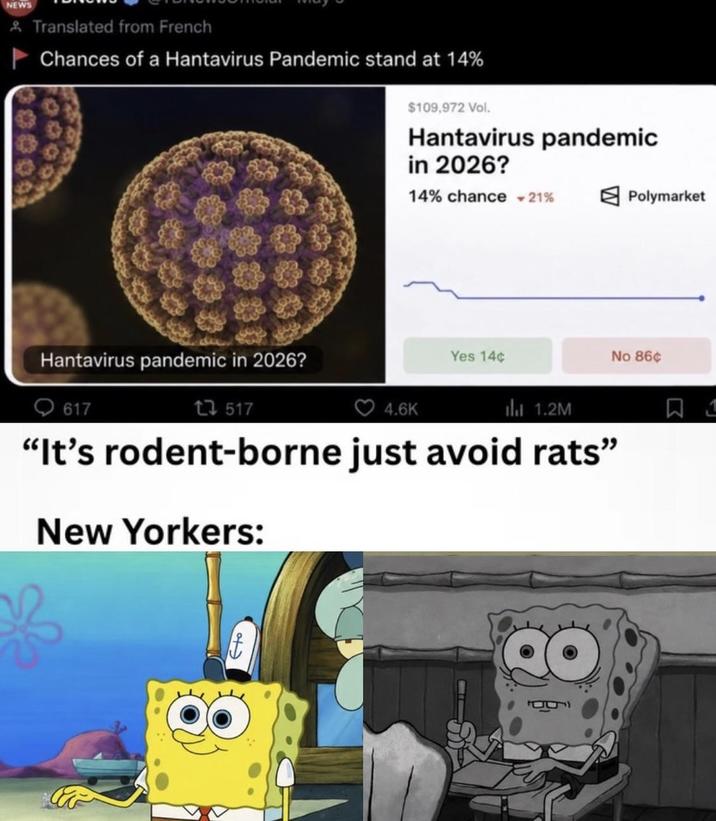 NEWS Translated from French Chances of a Hantavirus Pandemic stand at 14% $109,972 Vol. Hantavirus pandemic in 2026? 14% chance -21% Polymarket Hantavirus pandemic in 2026? 617 13517 4.6K Yes 14¢ 1.2M No 86¢ "It's rodent-borne just avoid rats" New Yorkers: f