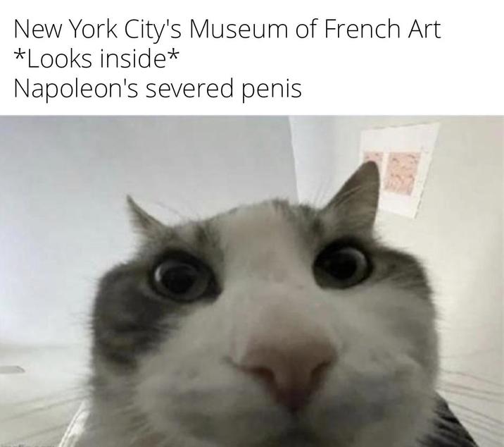 New York City's Museum of French Art *Looks inside* Napoleon's severed penis