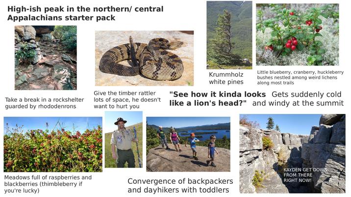 High-ish peak in the northern/ central Appalachians starter pack Take a break in a rockshelter guarded by rhododenrons Give the timber rattler lots of space, he doesn't want to hurt you Krummholz white pines Little blueberry, cranberry, huckleberry bushes nestled among weird lichens along most trails "See how it kinda looks Gets suddenly cold like a lion's head?" and windy at the summit Meadows full of raspberries and blackberries (thimbleberry if you're lucky) Convergence of backpackers and dayhikers with toddlers KAYDEN GET DOWN FROM THERE RIGHT NOW!