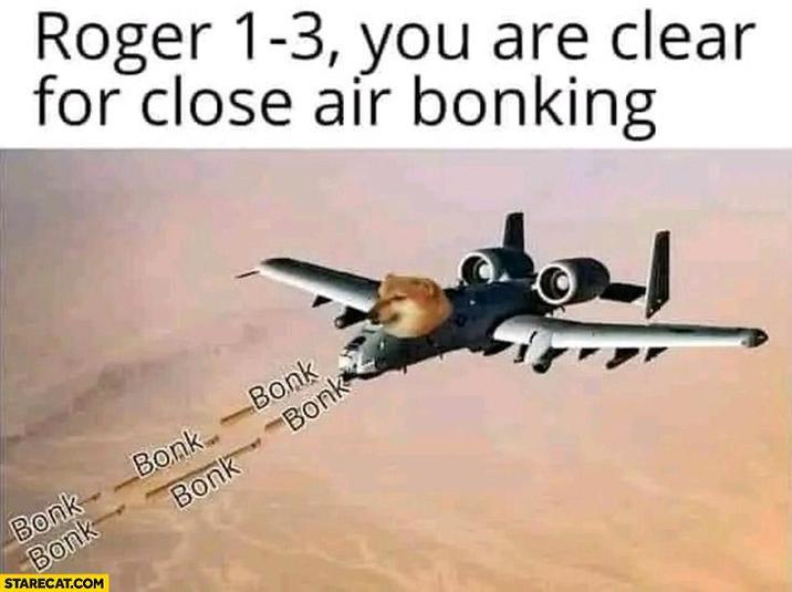 Roger 1-3, you are clear for close air bonking Bonk Bonk Bonk Bonk STARECAT.COM Bonk Bonk