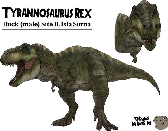 TYRANNOSAURUS REX Buck (male) Site B, Isla Sorna TICANUS M. DOUG Dd TitANUS MDOVG M