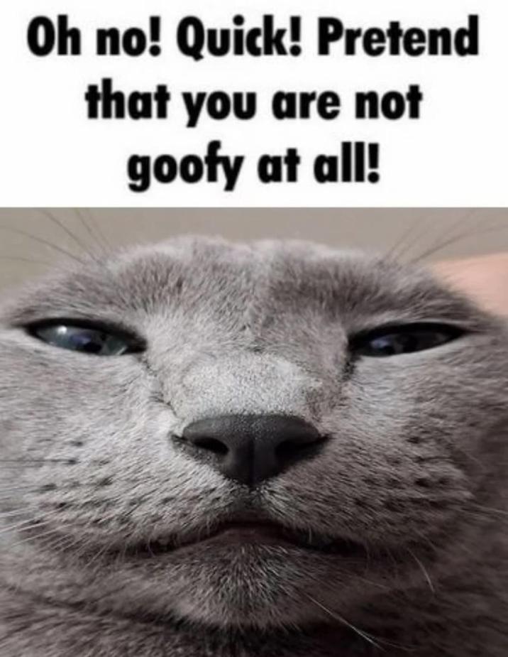 Oh no! Quick! Pretend that you are not goofy at all!