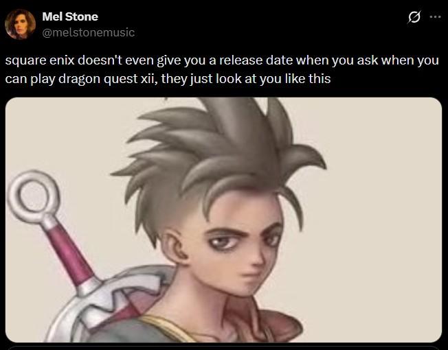 Mel Stone @melstonemusic square enix doesn't even give you a release date when you ask when you can play dragon quest xii, they just look at you like this