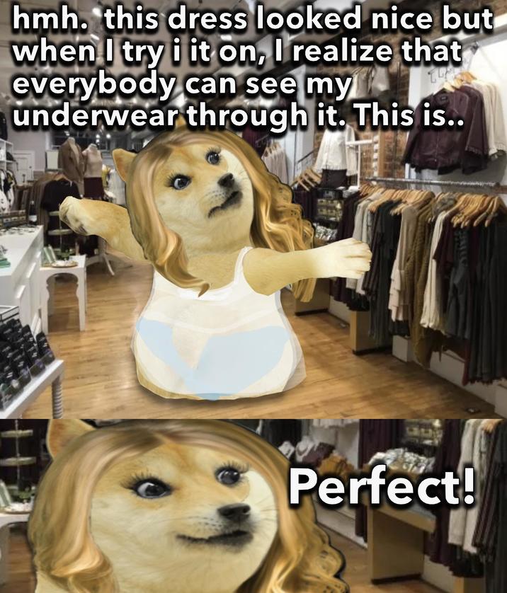 hmh. this dress looked nice but when I try i it on, I realize that everybody can see my underwear through it. This is.. Perfect!