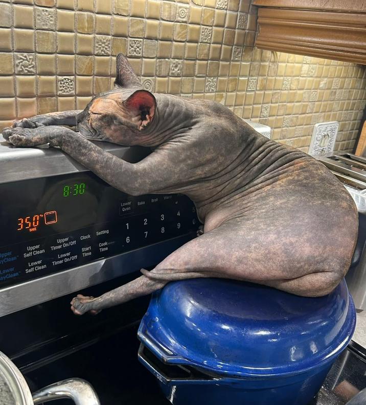 園 350° BAKE 0 8:30 Lower Bake Broil Warm Oven Upper syClean Upper Upper Clock Setting 1 2 3 5 Self Clean Timer On/Off Lower Lower Lower Start Cook 678 9 syClean Self Clean Timer On/Off Time Time
