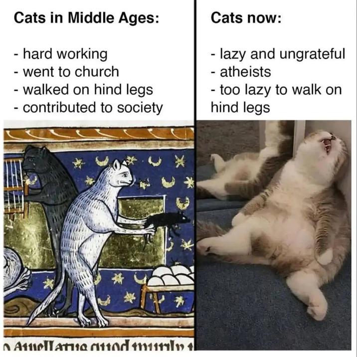 Cats in Middle Ages: - hard working - went to church - walked on hind legs - contributed to society Cats now: - lazy and ungrateful - atheists - too lazy to walk on hind legs Atuellatud mu