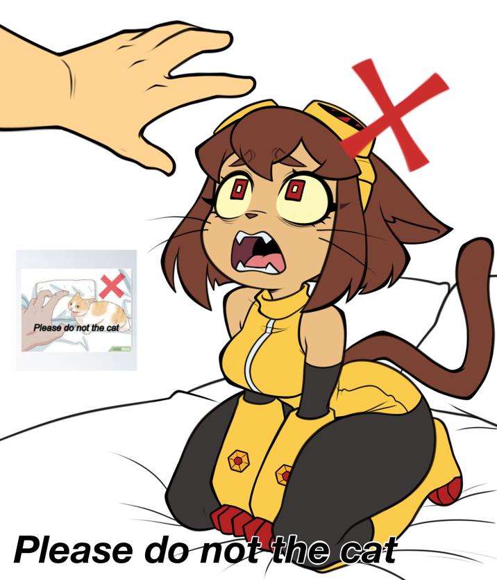 Please do not the cat Please do not the cat