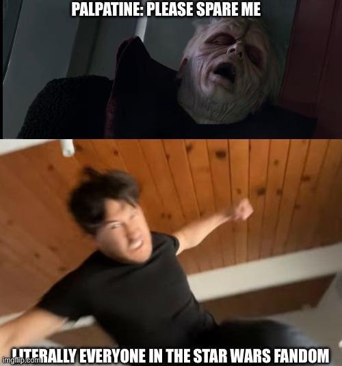 PALPATINE: PLEASE SPARE ME TERALLY EVERYONE IN THE STAR WARS FANDOM imgflip.com