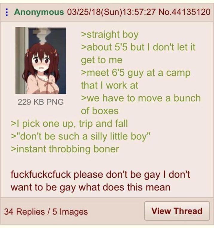 Anonymous 03/25/18(Sun)13:57:27 No.44135120 229 KB PNG >straight boy >about 5'5 but I don't let it get to me >meet 6'5 guy at a camp that I work at >we have to move a bunch of boxes >I pick one up, trip and fall >"don't be such a silly little boy" >instant throbbing boner fuckfuckcfuck please don't be gay I don't want to be gay what does this mean 34 Replies / 5 Images View Thread