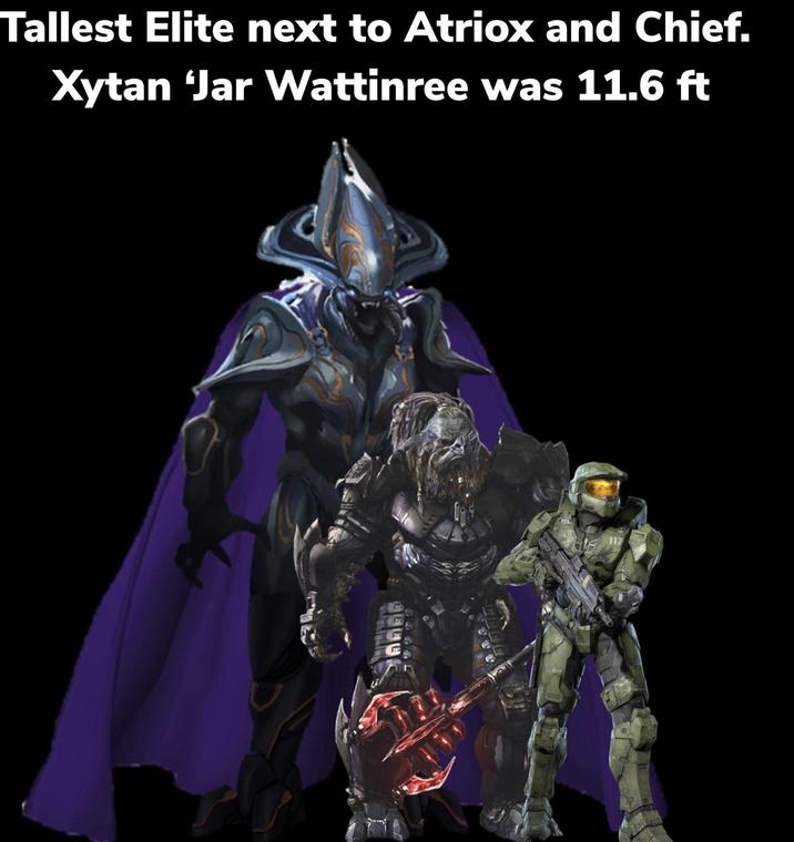 Tallest Elite next to Atriox and Chief. Xytan 'Jar Wattinree was 11.6 ft 117