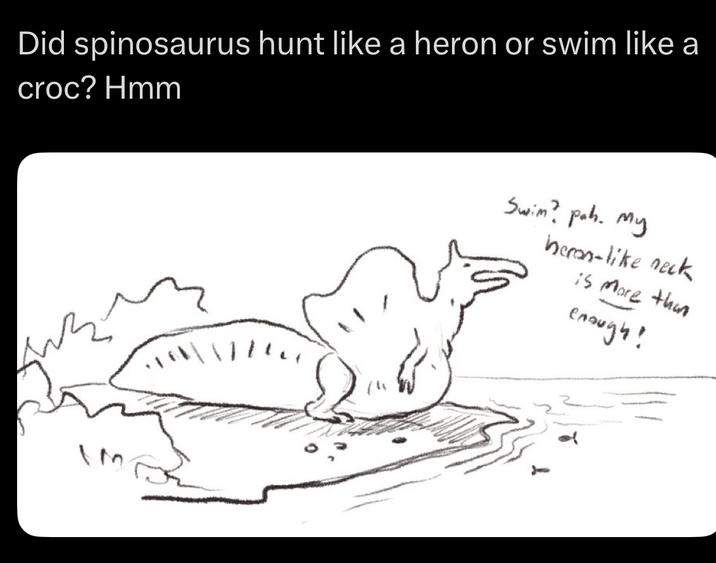 Did spinosaurus hunt like a heron or swim like a croc? Hmm \M Swim? pah. My heron-like neck is more than enough!