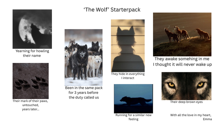Yearning for howling their name 'The Wolf' Starterpack Their mark of their paws, untouched, years later... Been in the same pack for 3 years before the duty called us They hide in everything I interact They awake somehing in me I thought it will never wake up Their deep brown eyes Running for a similar new feeling With all the love in my heart, Emma
