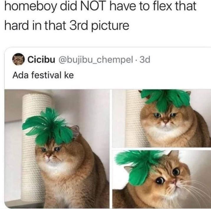 homeboy did NOT have to flex that hard in that 3rd picture Cicibu @bujibu_chempel. 3d Ada festival ke