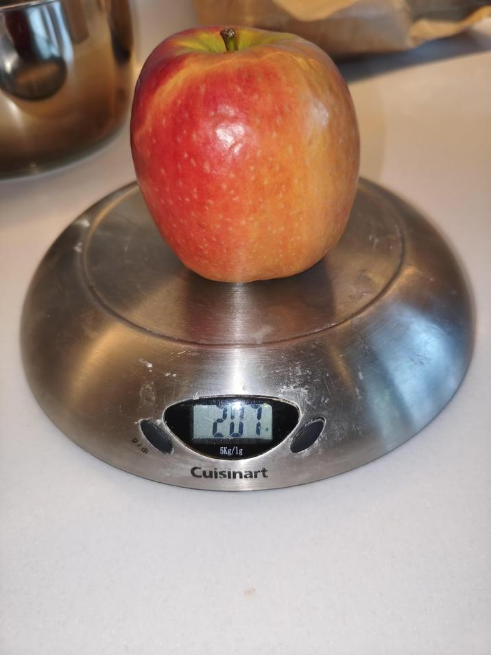 287. 5Kg/1g Cuisinart