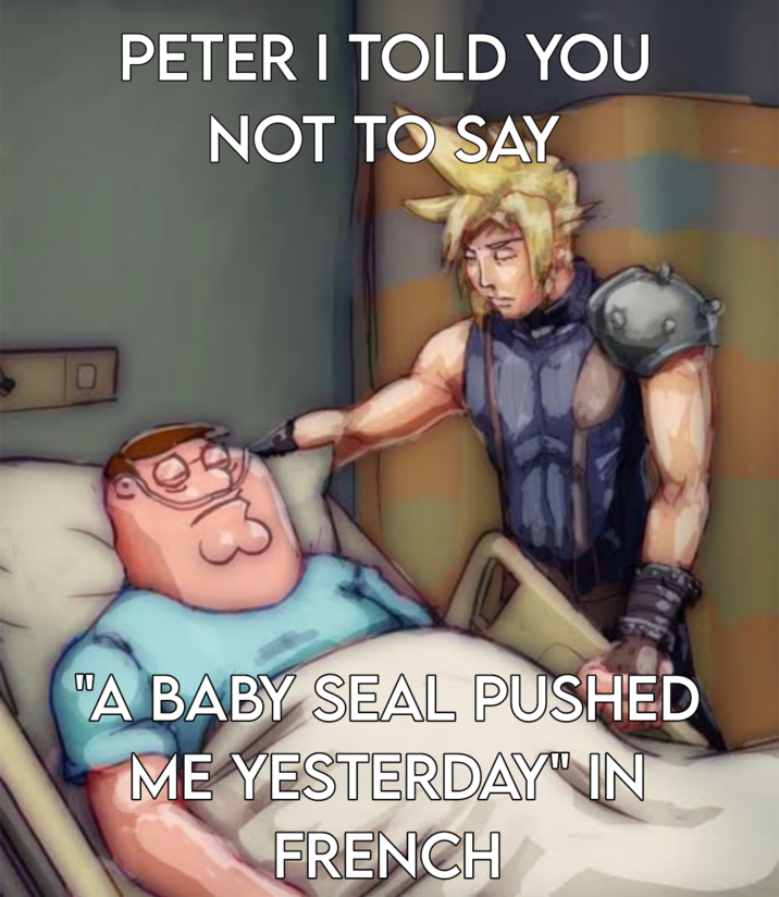 PETER I TOLD YOU NOT TO SAY "A BABY SEAL PUSHED ME YESTERDAY IN FRENCH