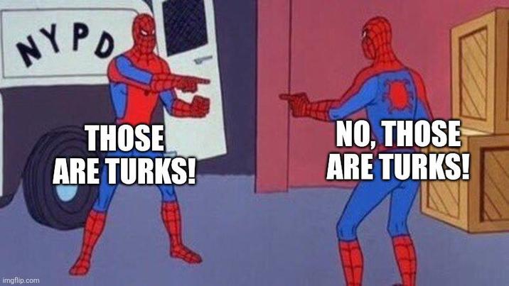 NY PO THOSE ARE TURKS! NO, THOSE ARE TURKS! imgflip.com