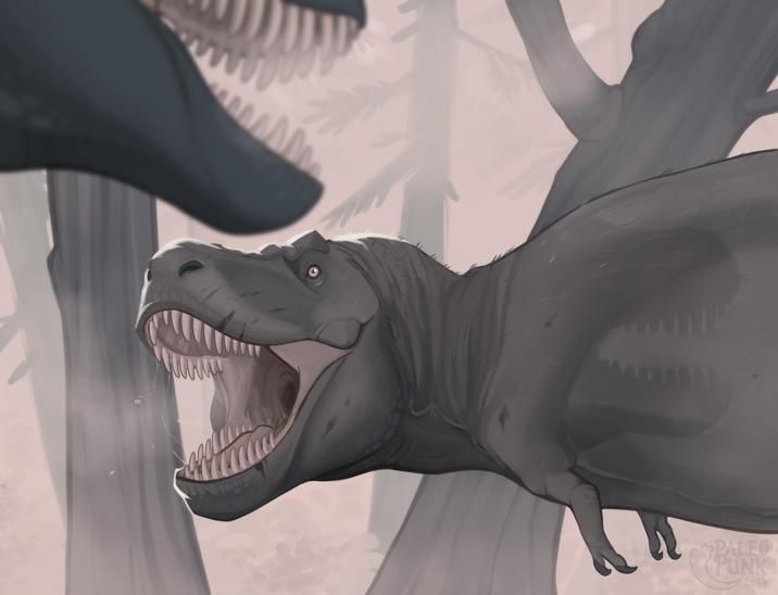 PALEO (PUNK 2026