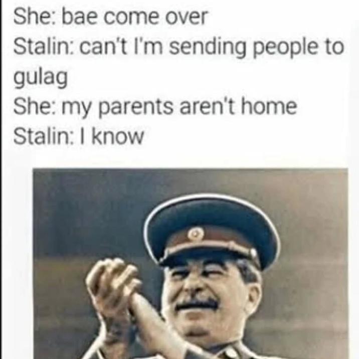 She: bae come over Stalin: can't I'm sending people to gulag She: my parents aren't home Stalin: I know