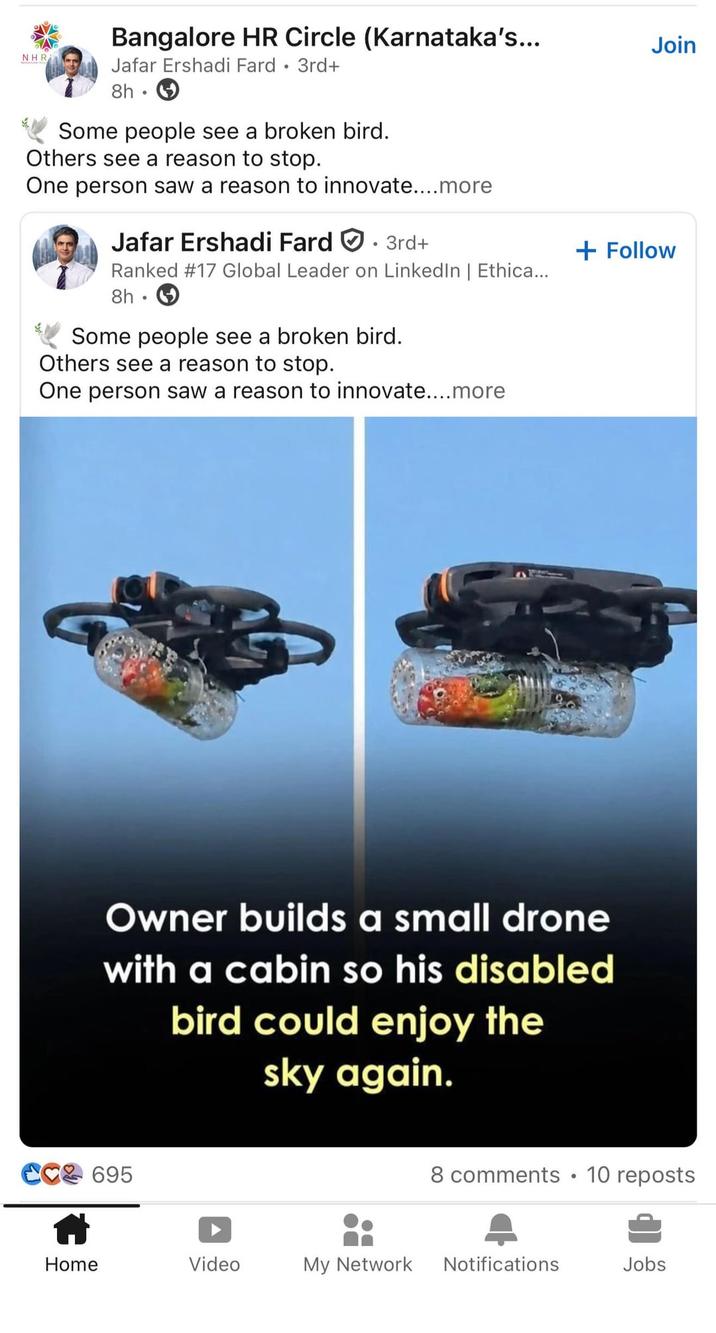 Bangalore HR Circle (Karnataka's... Join NHR Jafar Ershadi Fard • 3rd+ 8h. Some people see a broken bird. Others see a reason to stop. One person saw a reason to innovate....more Jafar Ershadi Fard 3rd+ + Follow Ranked #17 Global Leader on LinkedIn | Ethica... 8h⚫ Some people see a broken bird. Others see a reason to stop. One person saw a reason to innovate....more Owner builds a small drone with a cabin so his disabled bird could enjoy the sky again. 695 8 comments • 10 reposts Home Video My Network Notifications Jobs