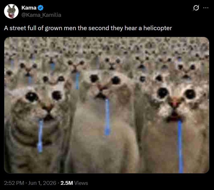 Kama @Kama_Kamilia A street full of grown men the second they hear a helicopter 2:52 PM Jun 1, 2026 2.5M Views 10