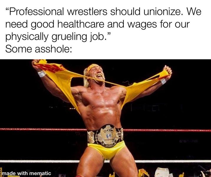 "Professional wrestlers should unionize. We need good healthcare and wages for our physically grueling job." Some a------: made with mematic