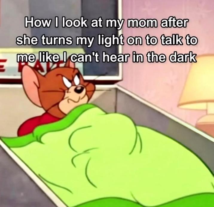 How I look at my mom after she turns my light on to talk to me like I can't hear in the dark